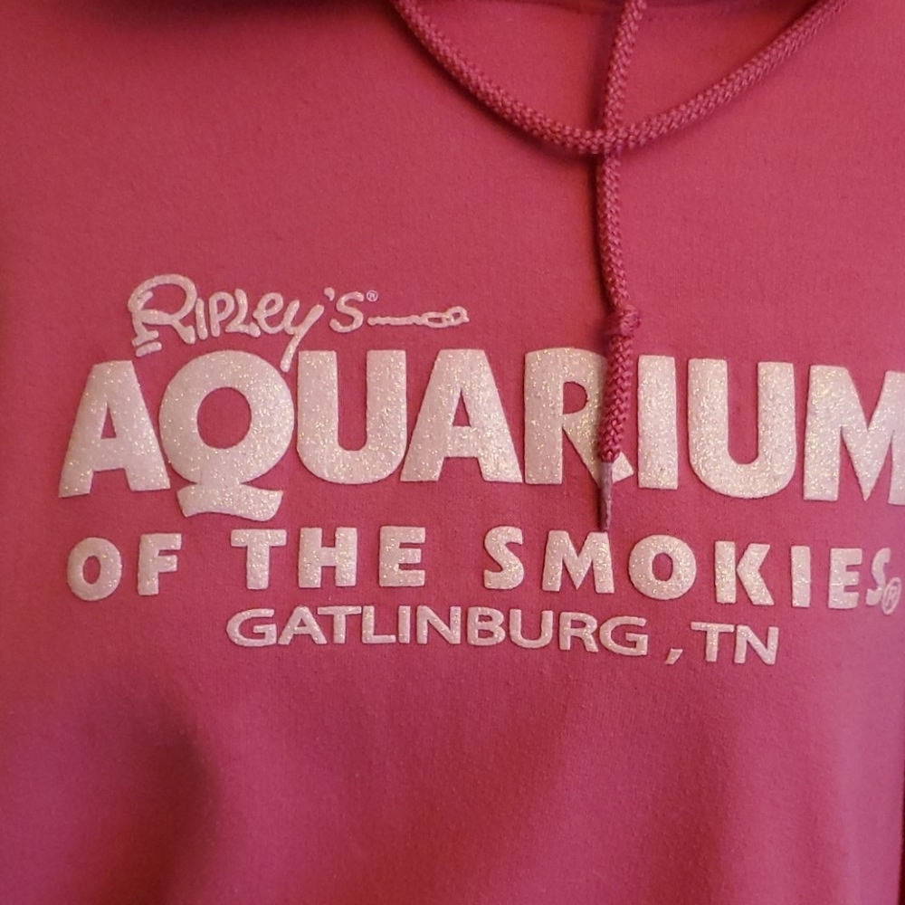 Sweatshirt - Picture 3 of 5